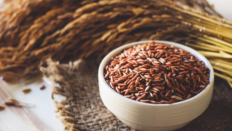 Có nên ăn gạo lứt mỗi ngày?